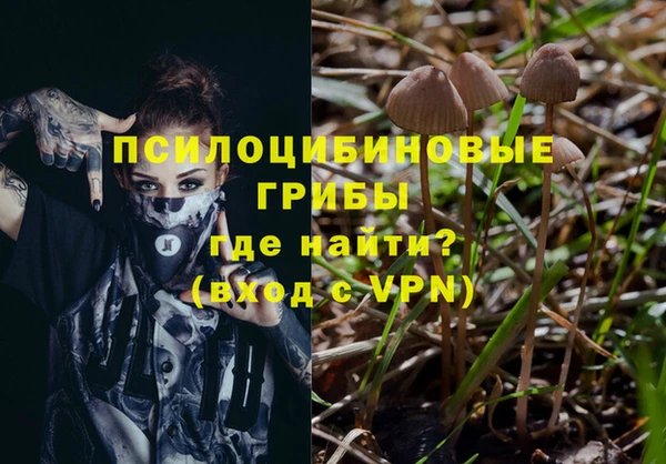 спайс Абаза